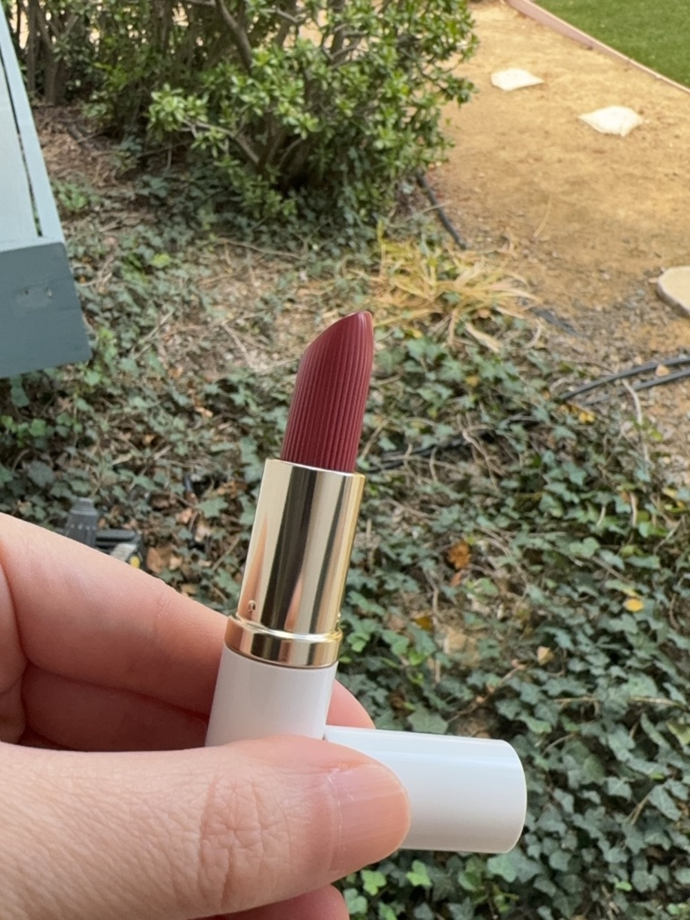 Estée Lauder Pure Color Creme Lipstick - 420 Rebellious Rose Full Size